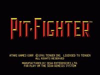 Pit-Fighter, capture décran